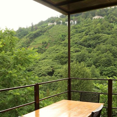 Modular House Green Zyland Y Batumi Eksteriør bilde